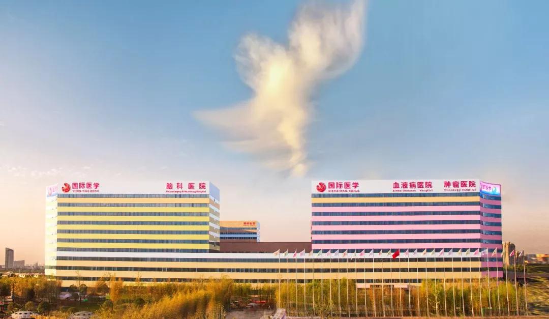 我院援鄂醫(yī)療隊榮獲陜西省抗擊新冠肺炎疫情先進集體 王海昌、韓新鵬、陳麗獲陜西省抗擊新冠肺炎疫情先進個人