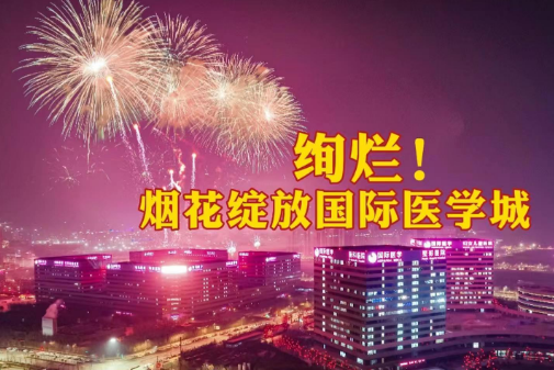 絢爛！煙花綻放國(guó)際醫(yī)學(xué)城